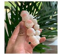 collana di legno, Adorabile braccialetto con perline di radice di Bodhi Bracciale elasticizzato a forma di artiglio di gatto rosa Regali affascinanti e divertenti for gli amanti dei gatti(13mm)