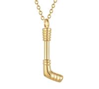 Collana elegante con medaglione per ceneri di cremazione per ceneri portaceneri per ricordo dell'animale domestico umano ciondolo per cremazione