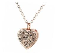 Collana gioielli per cremazione commemorativa per animali domestici Ciondolo a forma urna a forma cuore per la perdita animali domestici e famiglie Ceneri Pellicce Collana commemorativa