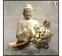 collana gioiello etnico ciondolo amuleto pendente buddhista tartaruga argento