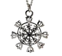 Collana Helm of Awe ciondolo eagerhelm 20" catena Asatru Aegishjalmur runa in...