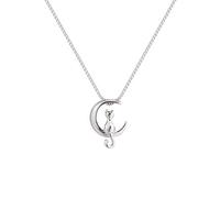 Collana in argento Sterling 925 con ciondolo a forma di gatto su una falce di luna