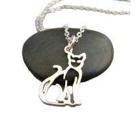 collana in argento sterling 925 con leone alato antico. Falco, creatura mitologica. Ciondolo con animale spirituale. Simbolo di potere, coraggio e saggezza|catena 18 pollici|placcato argento|_2631