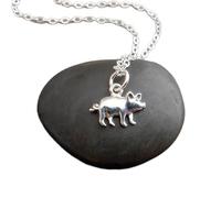 Collana in argento sterling 925 con maialino. Mini ciondolo a forma di maialino. Simbolo cinese della fortuna e del denaro. Piccolo animale spirituale. Regalo per ragazza contadina | Con catena da