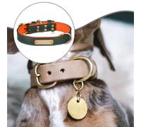 Collana personalizzata per cani con targhetta identificativa incisa, collana con