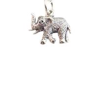 Collana realistica a forma di elefante in argento sterling 925. Ciondolo con animale spirituale. Ciondolo con anima potente. Totem portafortuna. Gioielli talismano per meditazione | Con catena da