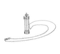 Collana Uomo, Collana con Ceneri di Cane in Acciaio Inossidabile con Urna Elegante Ricordo per Animali Domestici Defunti Ciondolo Elegante per Affrontare il Lutto