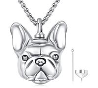 Collana Urna, Ciondolo Urna Cani in Argento Sterling 925 con Collana Cremazione, Gioielli Commemorativi per Mamma Donna Animali Domestici
