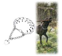 Collare a Catena in Metallo per Cani - Anti-Abbaio, Addestramento Esterno, Acciaio Inossidabile per Cani Grandi, Medi e Piccoli (2mm*45cm)
