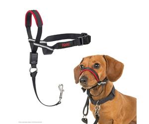 Collare a cavezza HALTI Optifit - Per impedire che il cane tiri il guinzaglio, regolabile con fascia per il muso imbottita. Collare anti-trazione per l’addestramento di cani piccoli (Taglia S)