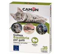 COLLARE AEQUILIBRIA GATTI 1PZ