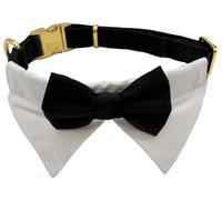 COLLARE CANE CEREMONY SMOKING con colletto e papillon misure S - M - L