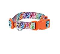 Collare Cane Estensibile Piccolo e Medio Mosaico Gaudi 25-40 cm