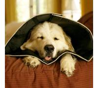 COLLARE COMFY CONE XSMALL 11CM