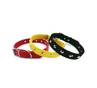 Collare con borchie in metallo modello Punk per cani Record