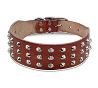 Collare cuoio cane Borchie taglia grande piccola Nero Pitbull Bulldog Rottweiler