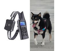Collare da addestramento per cani da compagnia Impermeabile ricaricabile