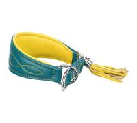 Collare da addestramento Trixie Active Comfort Giallo Azzurro XS/S 24-31 cm