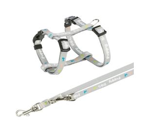 Collare da cucciolo H con guinzaglio 27-45 cm/10 mm grigio chiaro