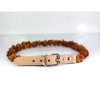 Collare di protezione in ambra e pelle baltica per animali domestici cane gat...