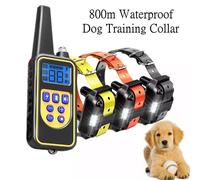 Collare elettrico da addestramento cani 800 m con telecomando impermeabile