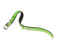 Collare Ferplast cane cani nylon fibbia metallo Dual Pyramids borchie tre colori