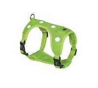 Collare "FLASH MESH" neon giallo; M: Petto: 40-50 cm; Fianchi: 45-60 cm