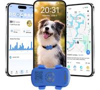 Collare GPS Cani Tracciamento satellitare dal vivo 4G più avvisi intelligenti