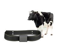 Collare GPS per Bovini E Ovini, Ricarica Automatica Solare, Design Impermeabile, Monitoraggio Sempre E Ovunque - Dispositivo Antifurto Dedicato Ranch,Nero