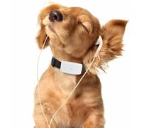 COLLARE GPS per Cane Gatto Antifurto Allarme Gps Locator Localizzatore Satellita