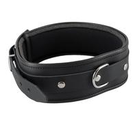 Collare Imbottito Con Bordo Rifinito. Davanti Con D-Anello. Nero.