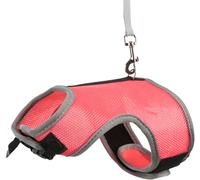 Collare in morbido materiale con guinzaglio diverso