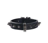 Collare in similpelle nero con borchiette metalliche Hercule Bobby per cani Croc