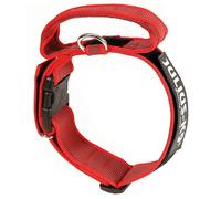 JULIUS-K9 COLLARE CON MANIGLIA (4 x 38-53 CM.) BLU