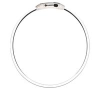 Collare LED Flamingo Raina Per Cani, Ricaricabile USB, Protezione IP44