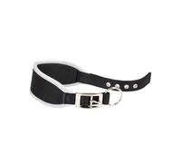 Collare levriero cane cani Ferplast ErgocomfortCW regolabile morbida imbottitura