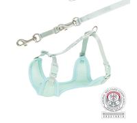 Collare morbido per cuccioli junior con guinzaglio 26-34 cm/10 mm menta