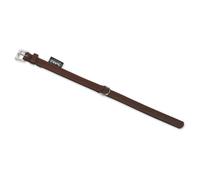 Collare Nobby South Marrone In Pelle Per Cani Robusto Comodo Elegante