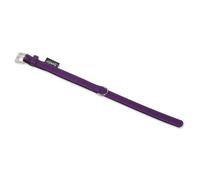 Collare Nobby South Viola In Pelle Di Vitello Nappa Per Cani, Robusto E Elegante