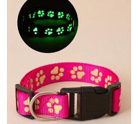 Collare per animali domestici con motivo a impronte, collare fluorescente per visione notturna, adatto per cani e gatti, per uso interno ed esterno, universale L,M,S,XLAnimale,Blocchi di colore,Piante