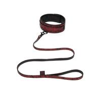 Fifty Shades of Grey Sweet Anticipation Collar & Lead