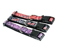 Collare per Cane Evil Spirit Nero Zolux 20mm