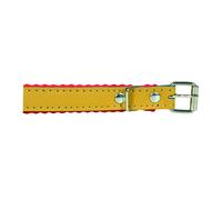 Collare per cani cuoio padding - cm.37x1,6 - 5 pz