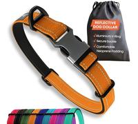 Collare per cani di taglia grande - arancione riflettente regolabile imbottito collare - alluminio V-ring sicurezza cane