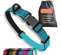 Collare per cani di taglia grande, riflettente, regolabile, imbottito, in alluminio, con anello a V, colore: blu