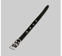 Eurocuoio Collare Cani Cuoio Borchie Mm 30 Cm 56 20-30