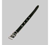 Eurocuoio Collare Cani Cuoio Borchie Mm 40 Cm 65 20-40