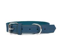 Collare per Cani Gloria Oasis Azzurro [45 x 1,8 cm]