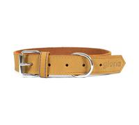 Collare per Cani Gloria Oasis Giallo [60 x 3 cm]
