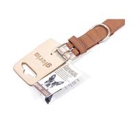 Collare per Cani Gloria Oasis Marrone [70 x 3 cm]